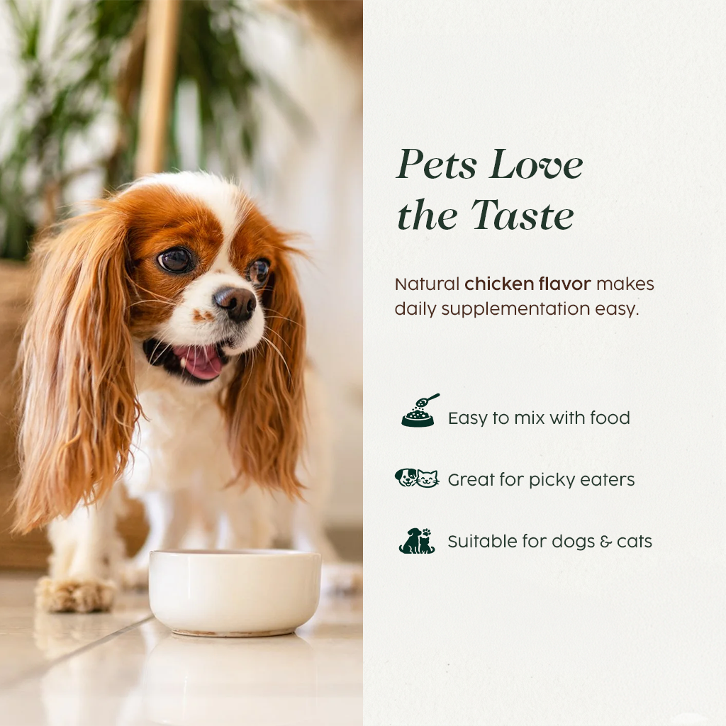 AuraPet - Organic Mushrooms Blend for Dogs and Cats